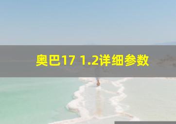 奥巴17 1.2详细参数